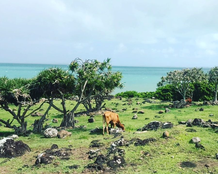 L'île Rodrigues, petite soeur de maurice dans l'ocean indien / VIP'S H'OM