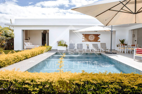 propriete-location-beau-plan-terrasse-piscine