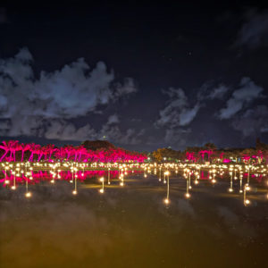 Étang de Mahogany à Beau Plan Île Maurice