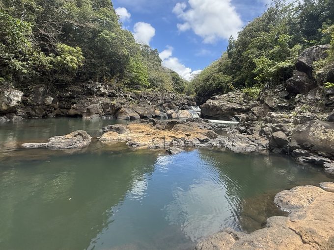 Galerie - Bassin naturel de la rivière