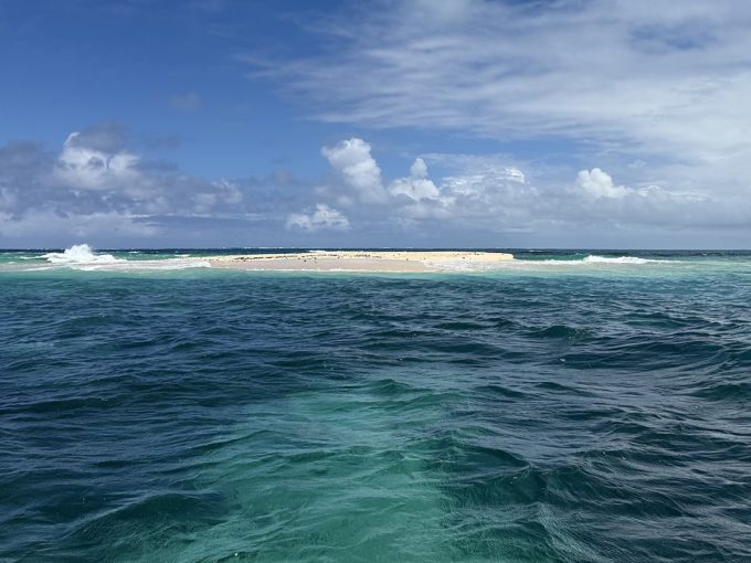 Galerie - Approche de l'Île aux Flamants