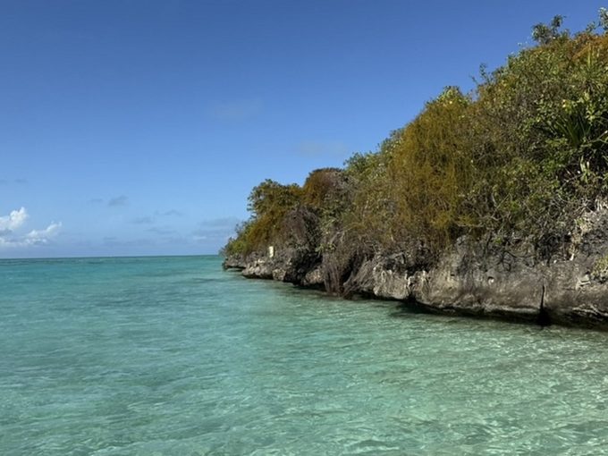 Galerie - Falaise de corail et eau turquoise